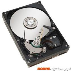 Dysk HDD 1 TB do rejestracji video