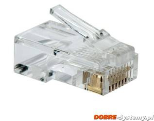 Wtyk RJ45